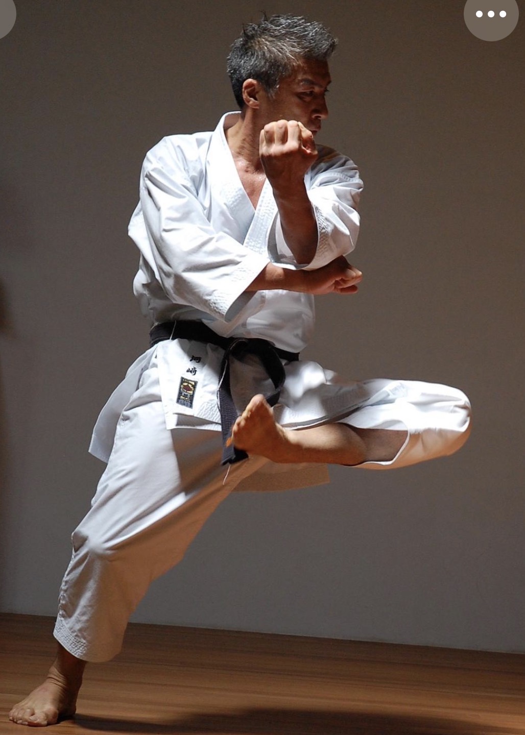 Norio Kawasaki — Mae-Geri im Sprung