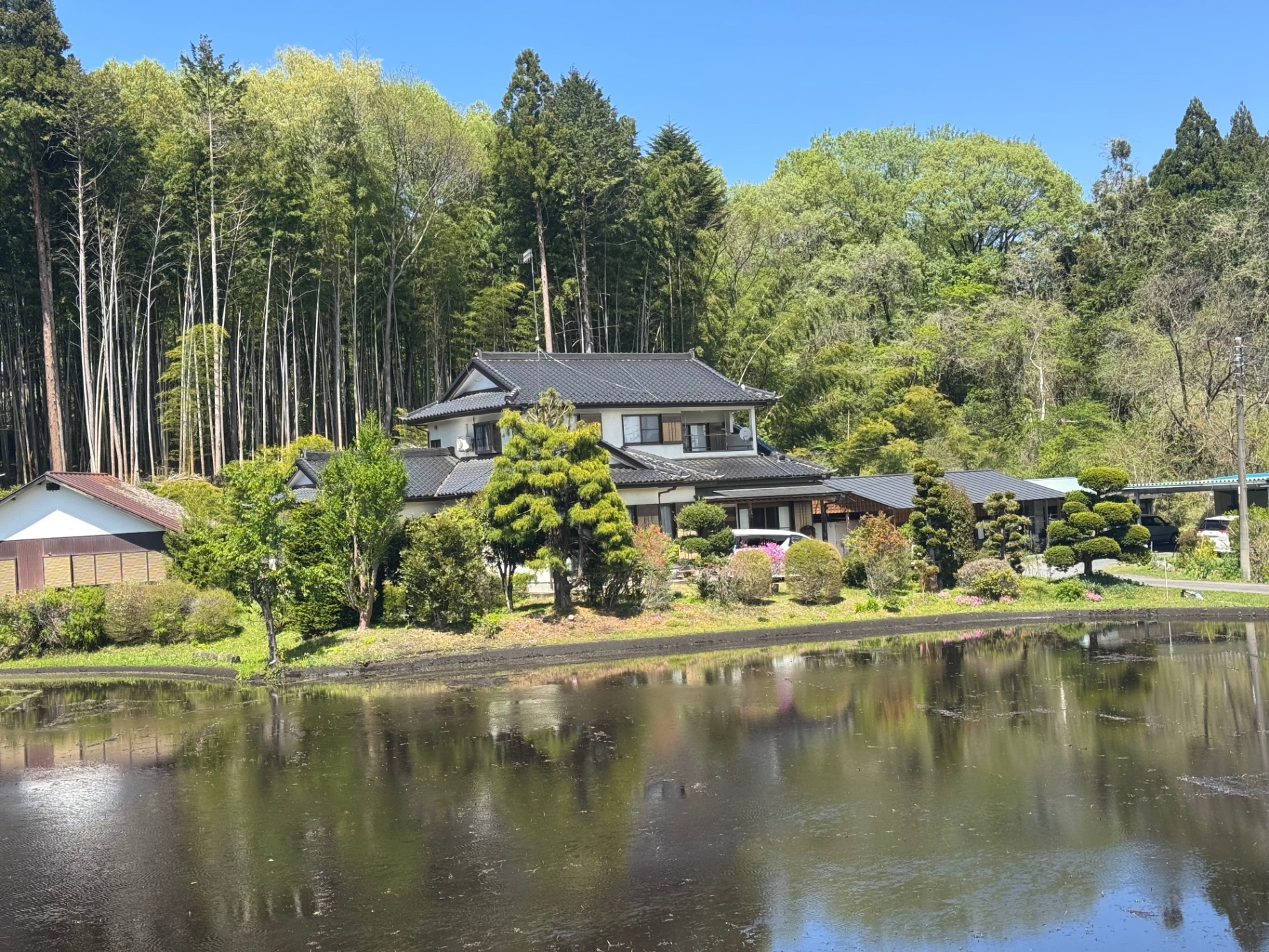 Traditionelles japanisches Landhaus mit Ziegeldach hinter einem Reisfeld, umgeben von Wald